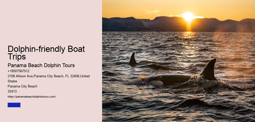 Boat Tour