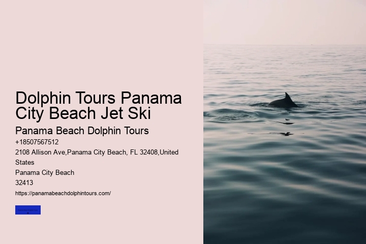 Dolphin Tours Panama City Beach Jet Ski