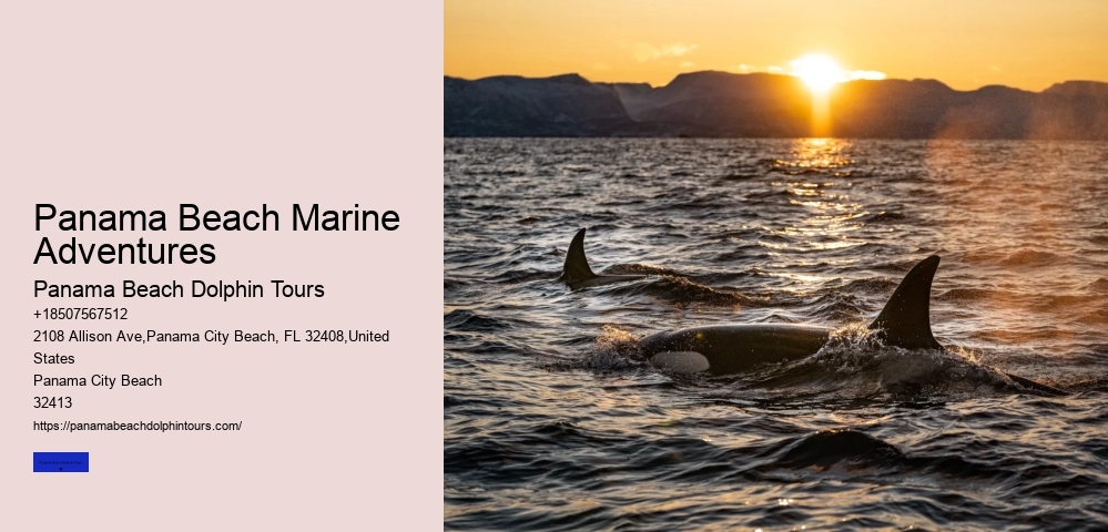 Panama Beach Marine Adventures