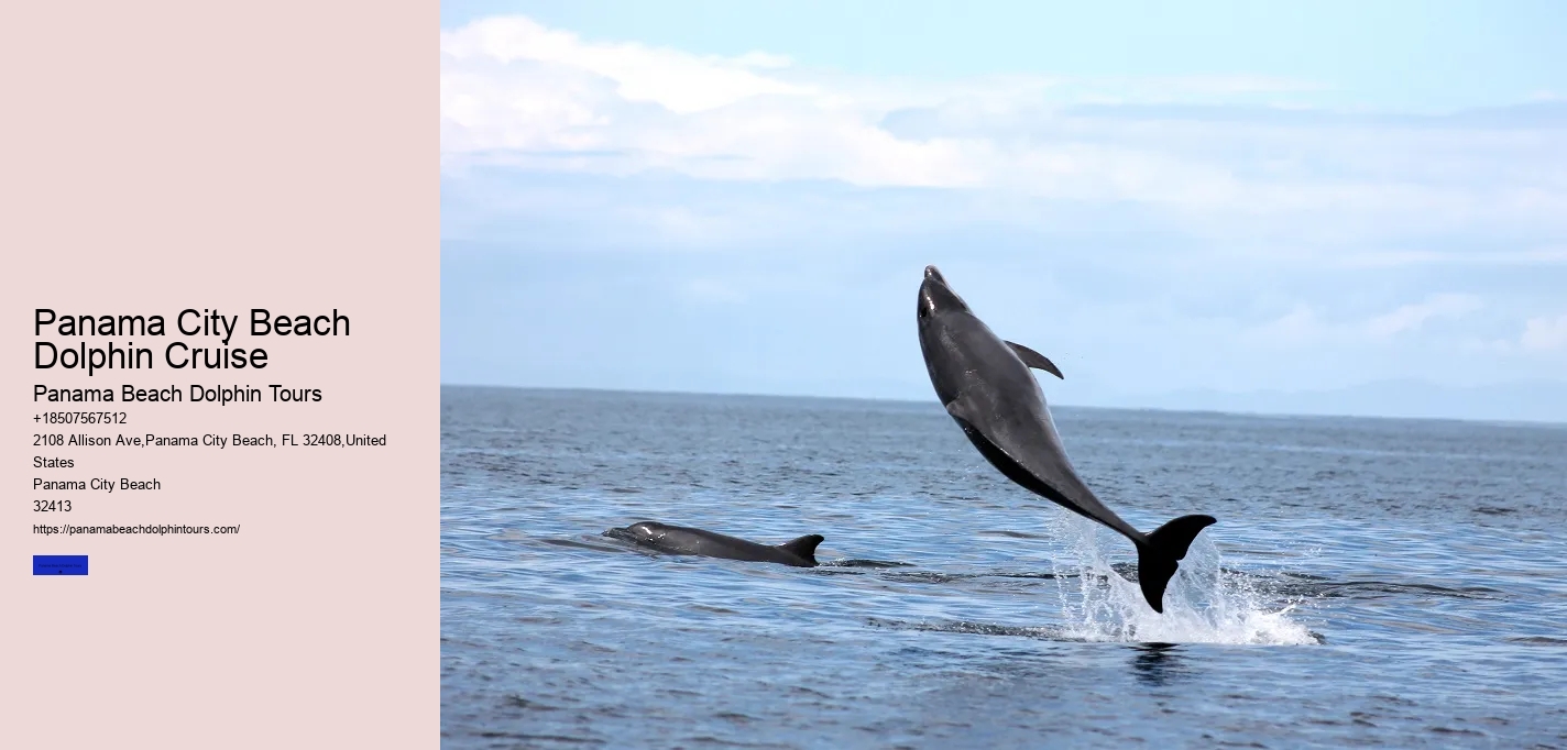 Panama City Beach Dolphin Cruise